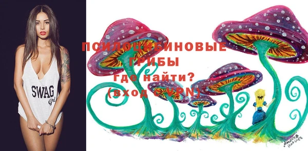 амф Алексеевка
